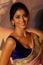 Shriya Saran Film ve Dizileri