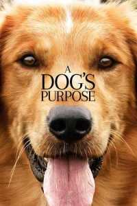 A Dog's Purpose - Can Dostum