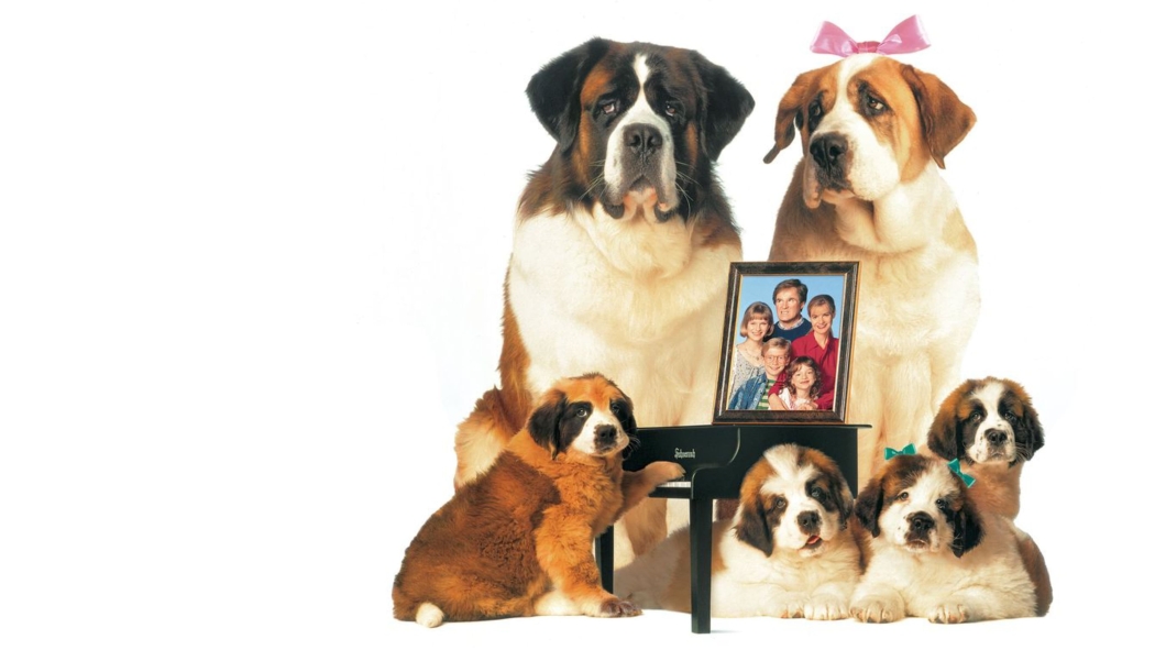 Afacan Köpek Beethoven 2 (1993) izle