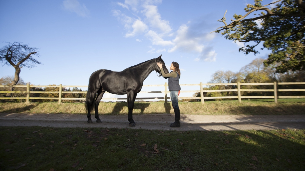 Kendini Özgür Bırak 2. Sezon 6. Bölüm izle