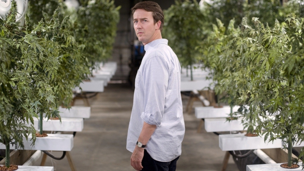 Çim Yaprakları izle