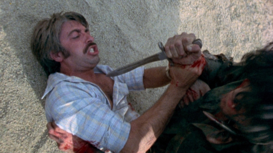 Tepenin Gözleri (1977) izle