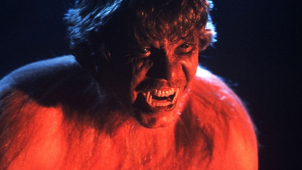 Çığlık (1981) izle